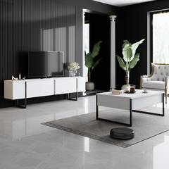 2-teiliges Wohnzimmermöbel-Set Sibylle Metall Schwarz und Holz Weiß