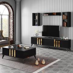 TV-meubel, 2 kasten en 1 plank Viktor Antraciet, Zwart en Goud