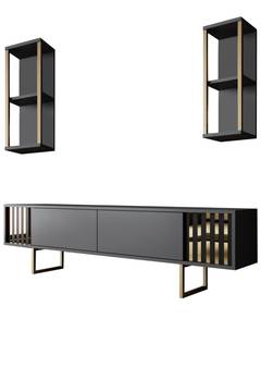 TV-meubel met 2 planken Manaslu Goud Metaal en Antraciet Hout