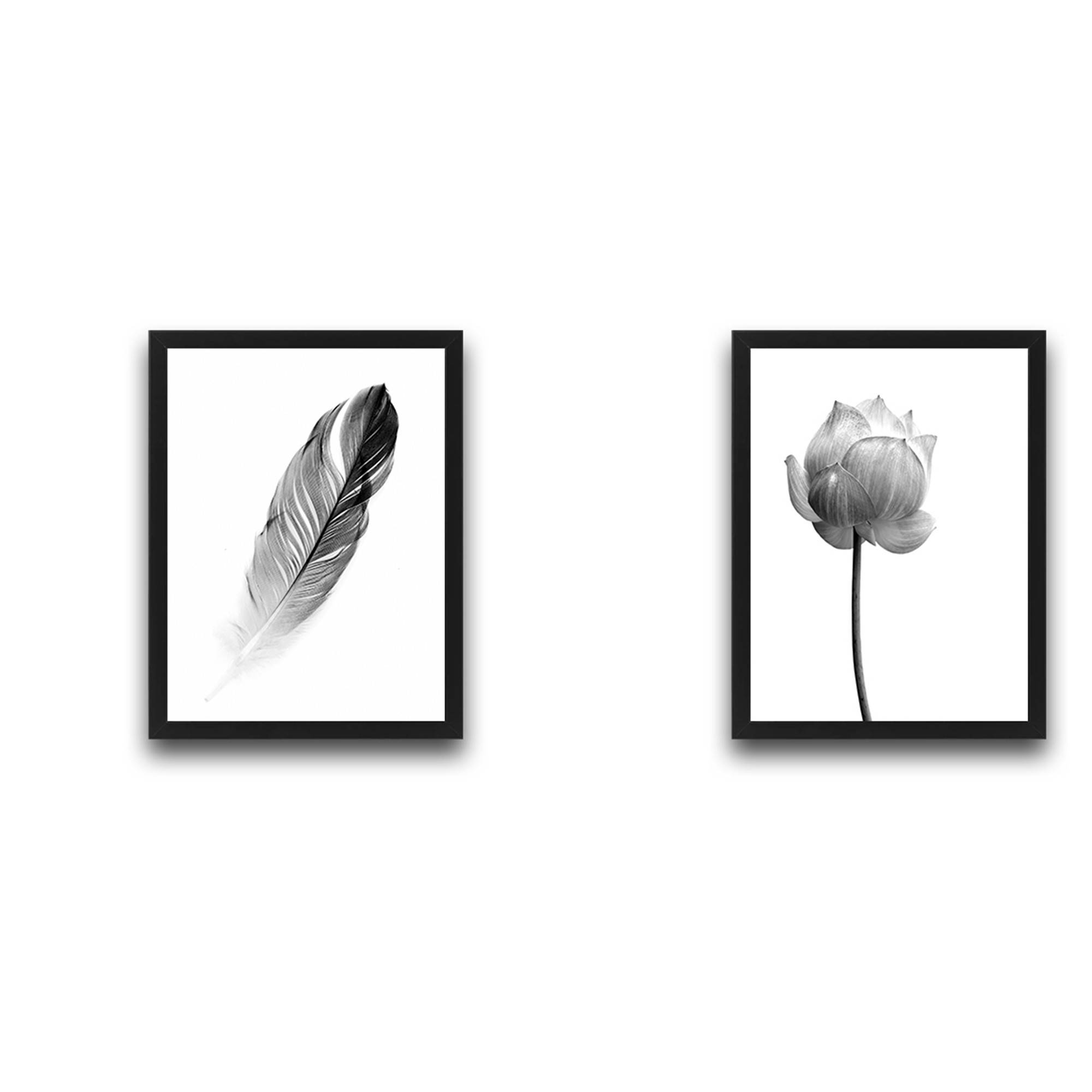 Lot de 2 tableaux Duo L30xH40 Motif Fleur et Plume Noir et Blanc
