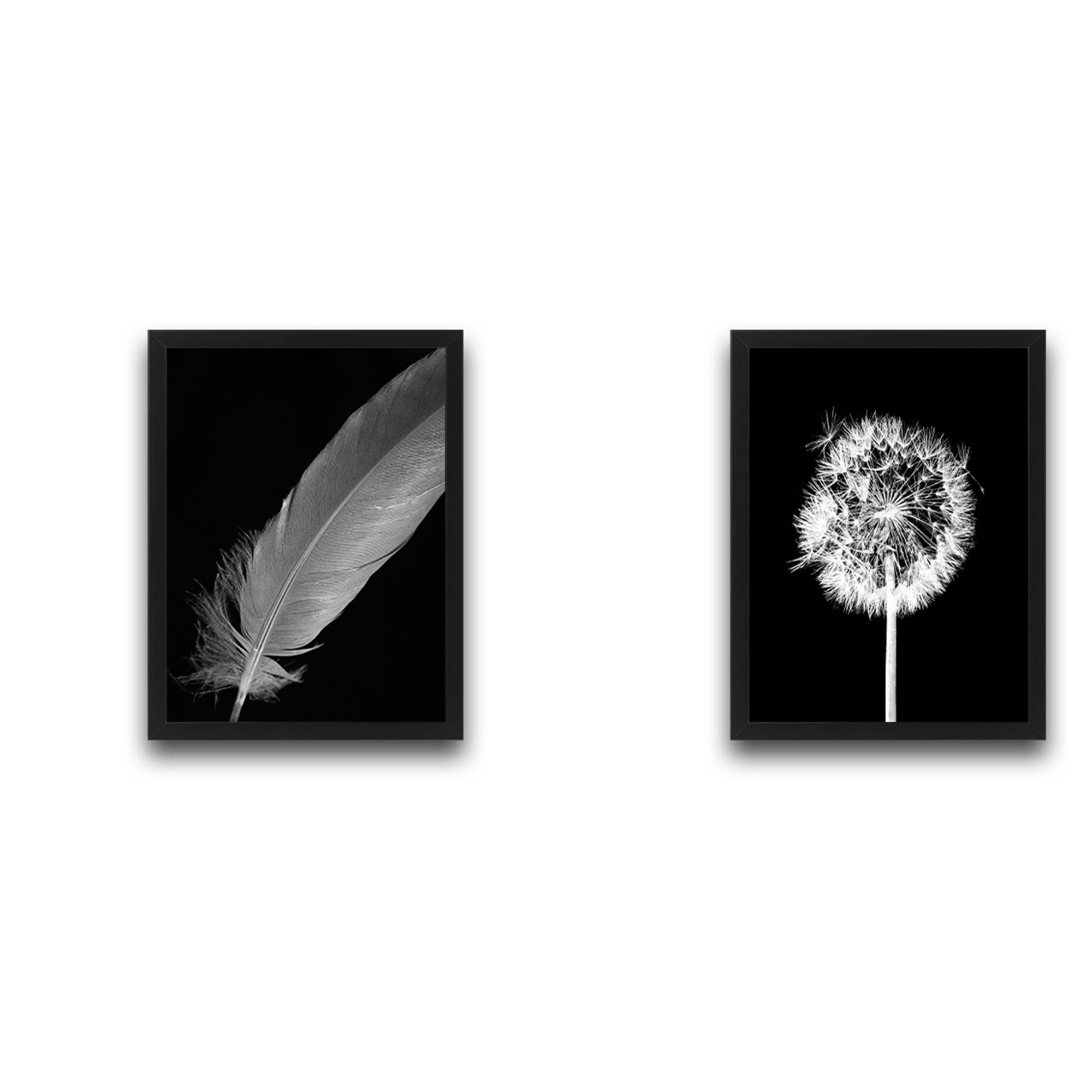 Set van 2 decoratieve verven Duo Dandelion Feathers Papier- en laminaatpaneel Zwart en wit 