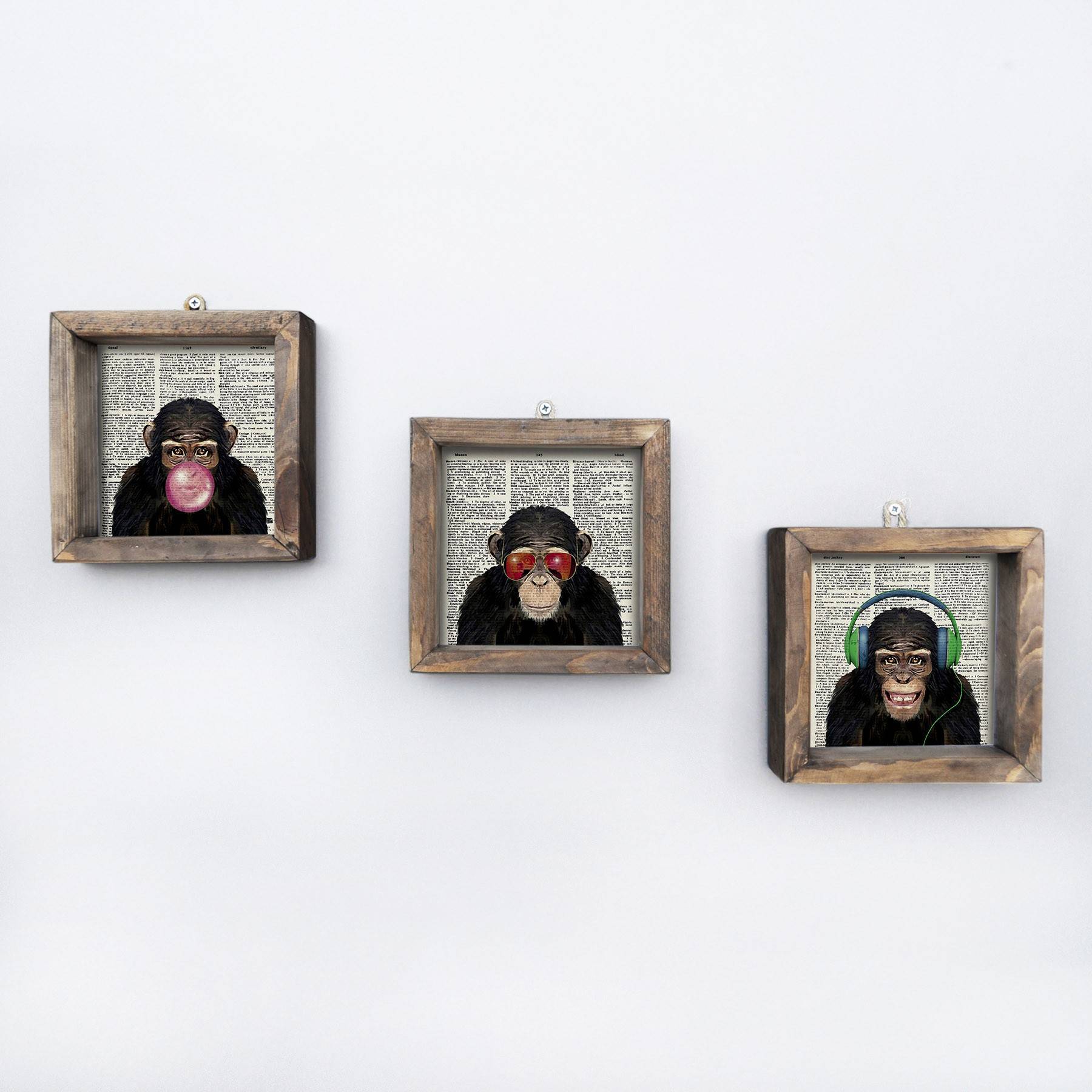Assortiment van 3 vierkante afbeeldingen grappig aapje Aranea MDF Pin Multicolour