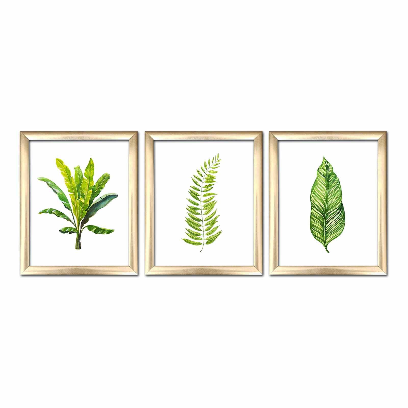 Set von 3 gerahmten Bildern in Pictor Gold L76.5xH28,5cm Motiv Tropische Blätter Grün