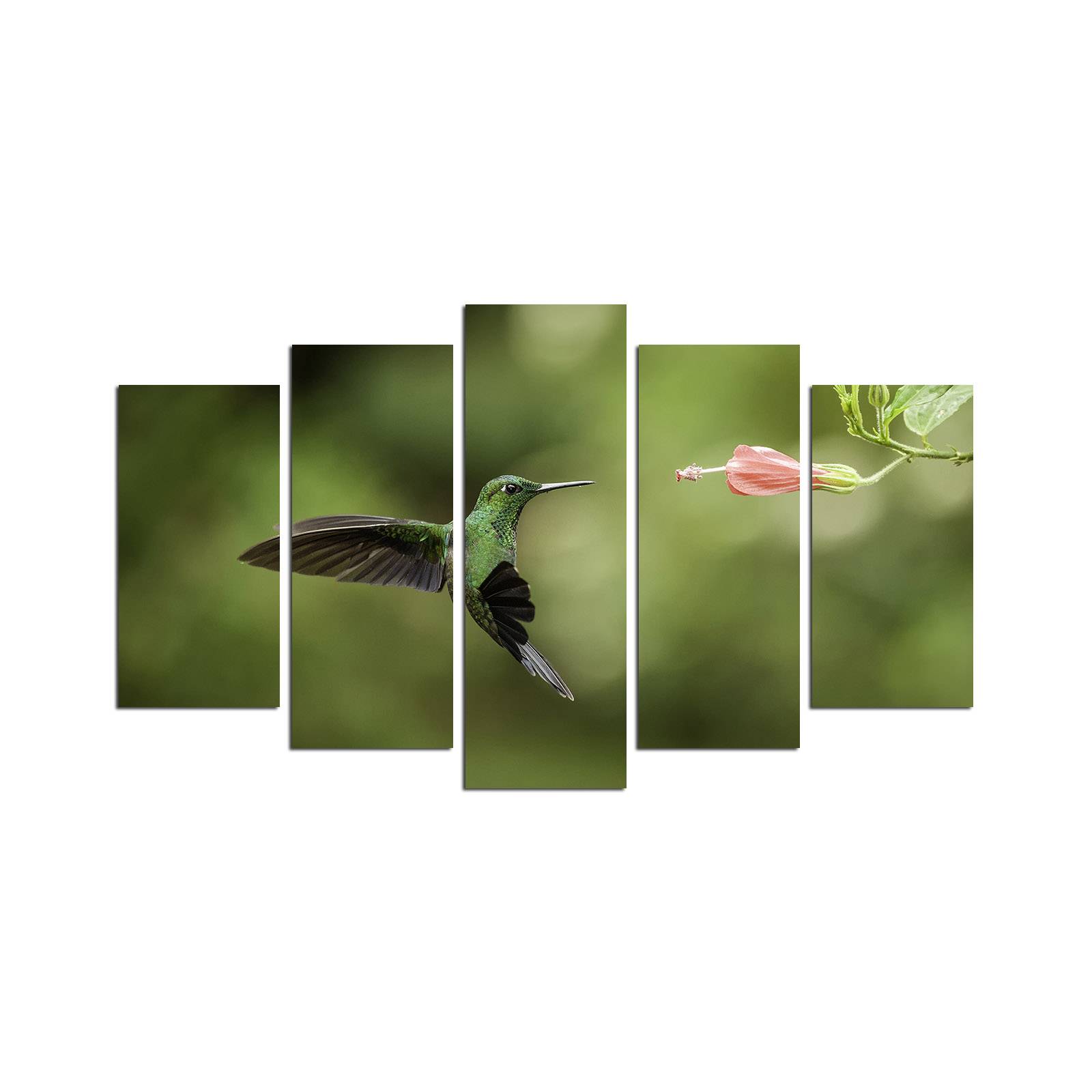 Vijfluik Atos L110xH60cm Kolibrie en bloemmotief Veelkleurig
