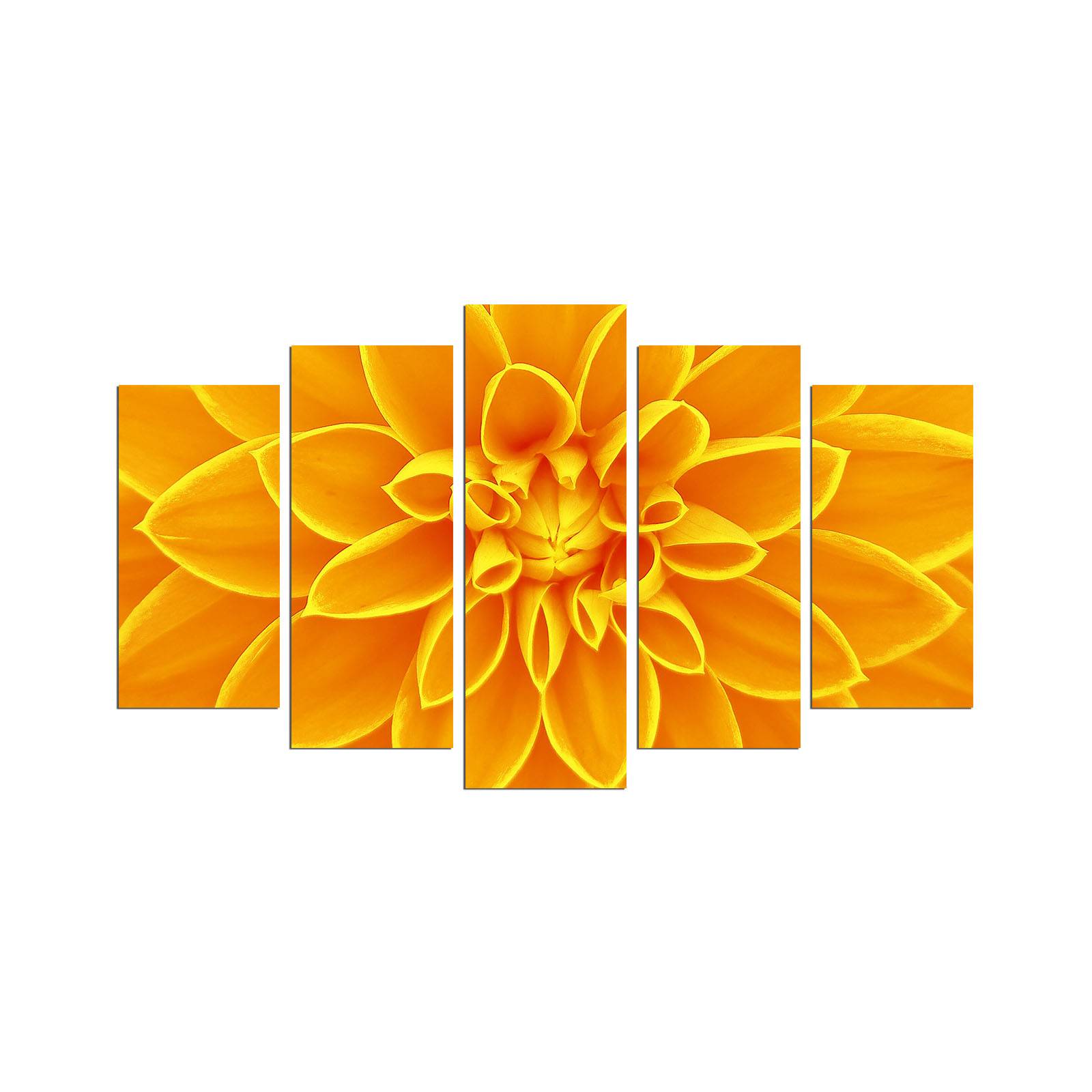 Pentaptych schilderij close-up oranje krysanthemum Atos MDF Multicolour