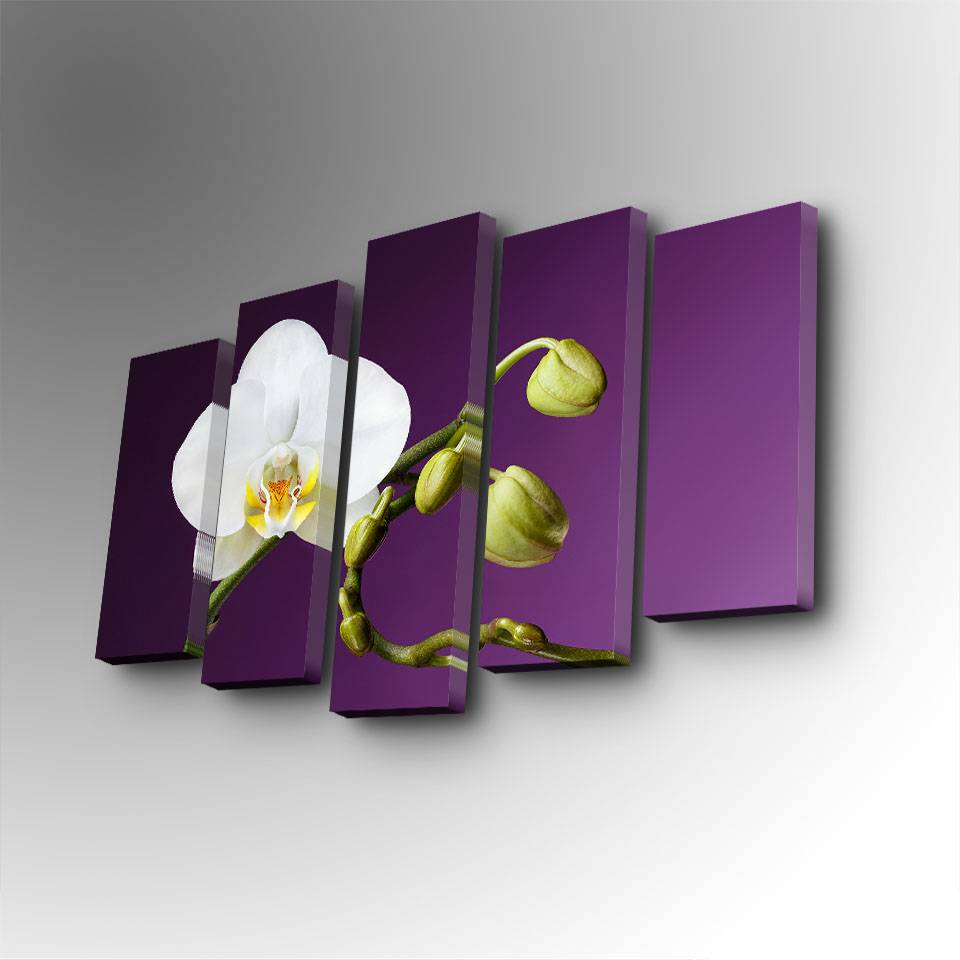 Pentaptyque Atos Motif Orchidée Blanc et Violet