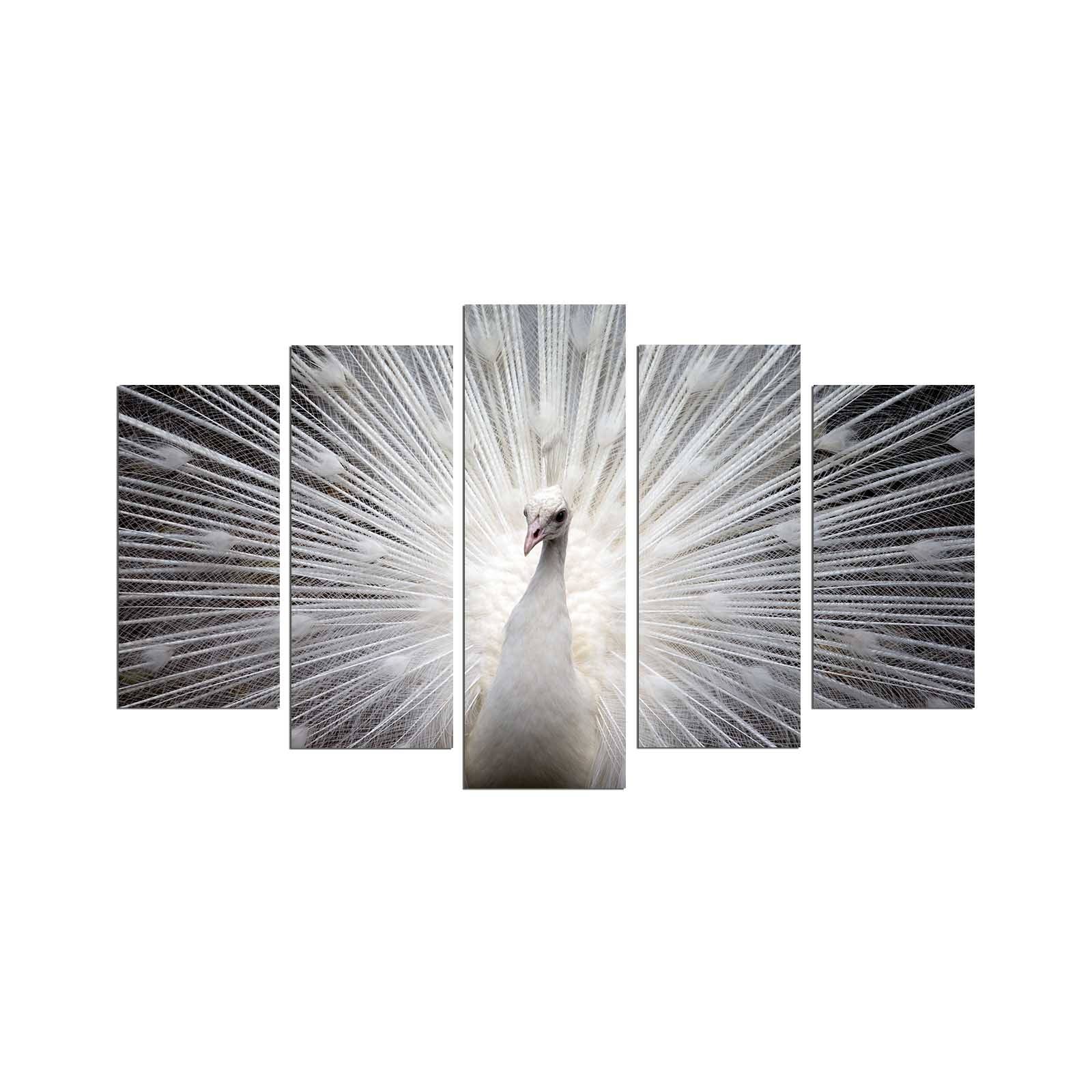 Pentittico Modello Atos bianco e nero pavone