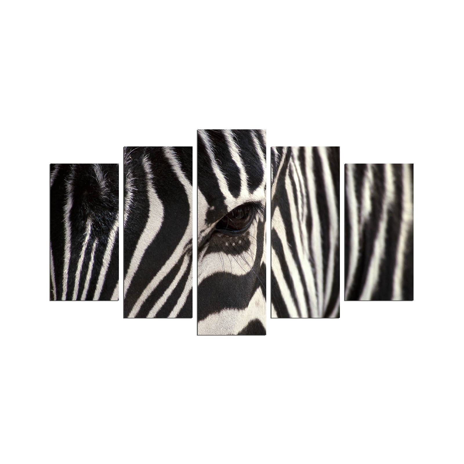 Vijfluik Grex L110xH60cm patroon blik van een zwart-witte zebra