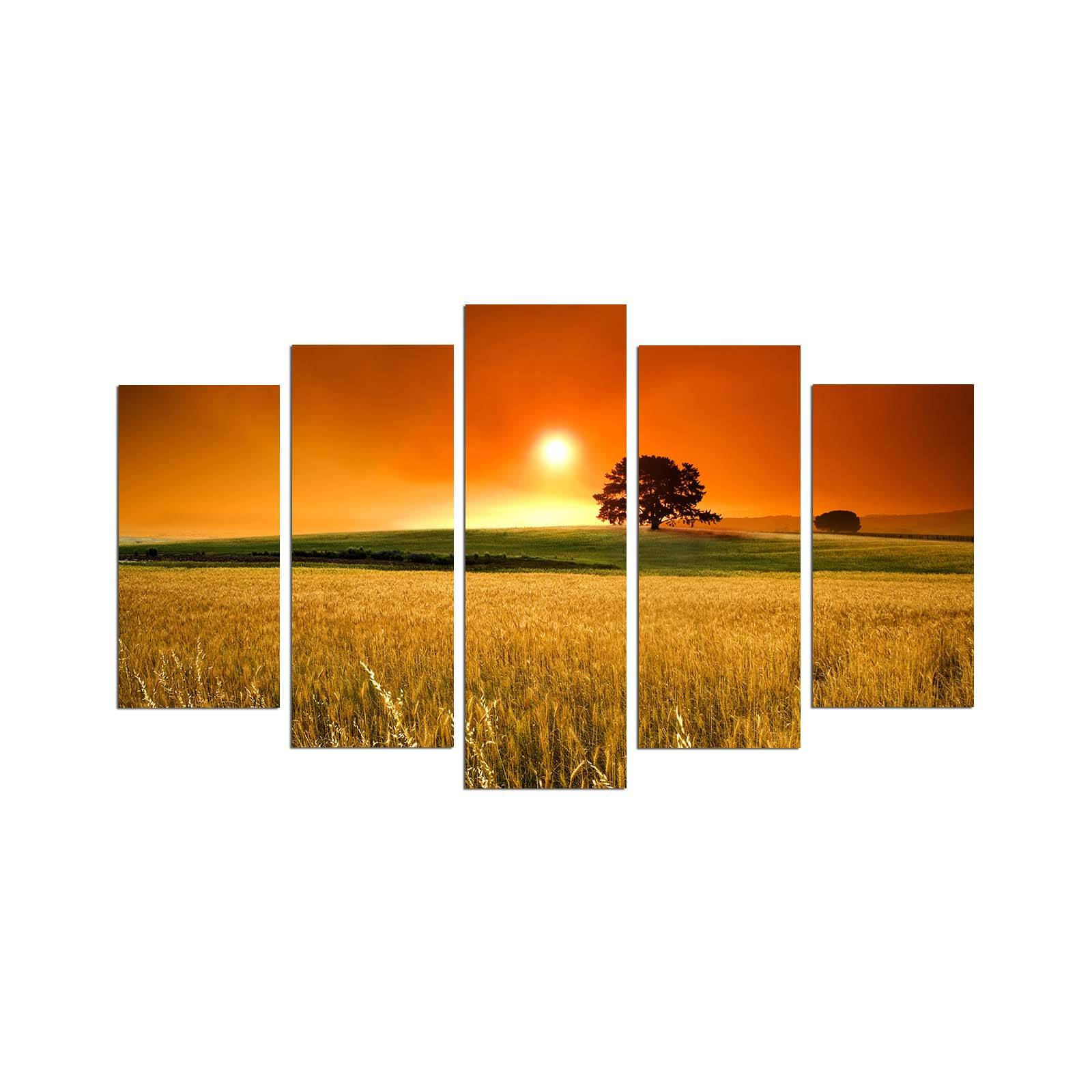 Pentittico Grex Landscape Pattern, campo prato al tramonto