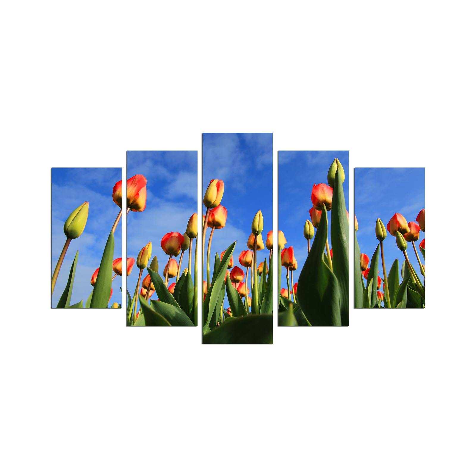 Pentaptyque Grex Motif Tulipes