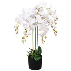 Pianta artificiale Orchidea 75cm Bianco