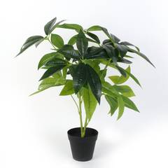 Plante artificielle Pachira H60cm Vert