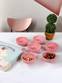 Saucierenschalen-Set 6-teilig Rund Jade Keramik Rose Incarnat