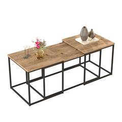 Dawit industriële stijl salontafel set Licht hout en metaal Zwart