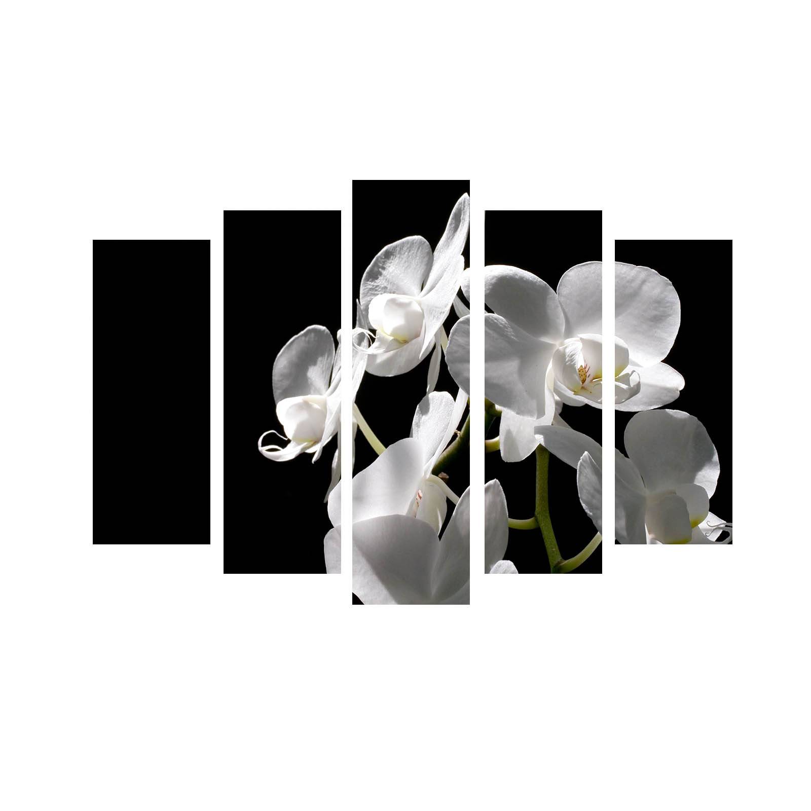 Vijfluik Atos Bells Orchids Patroon Wit