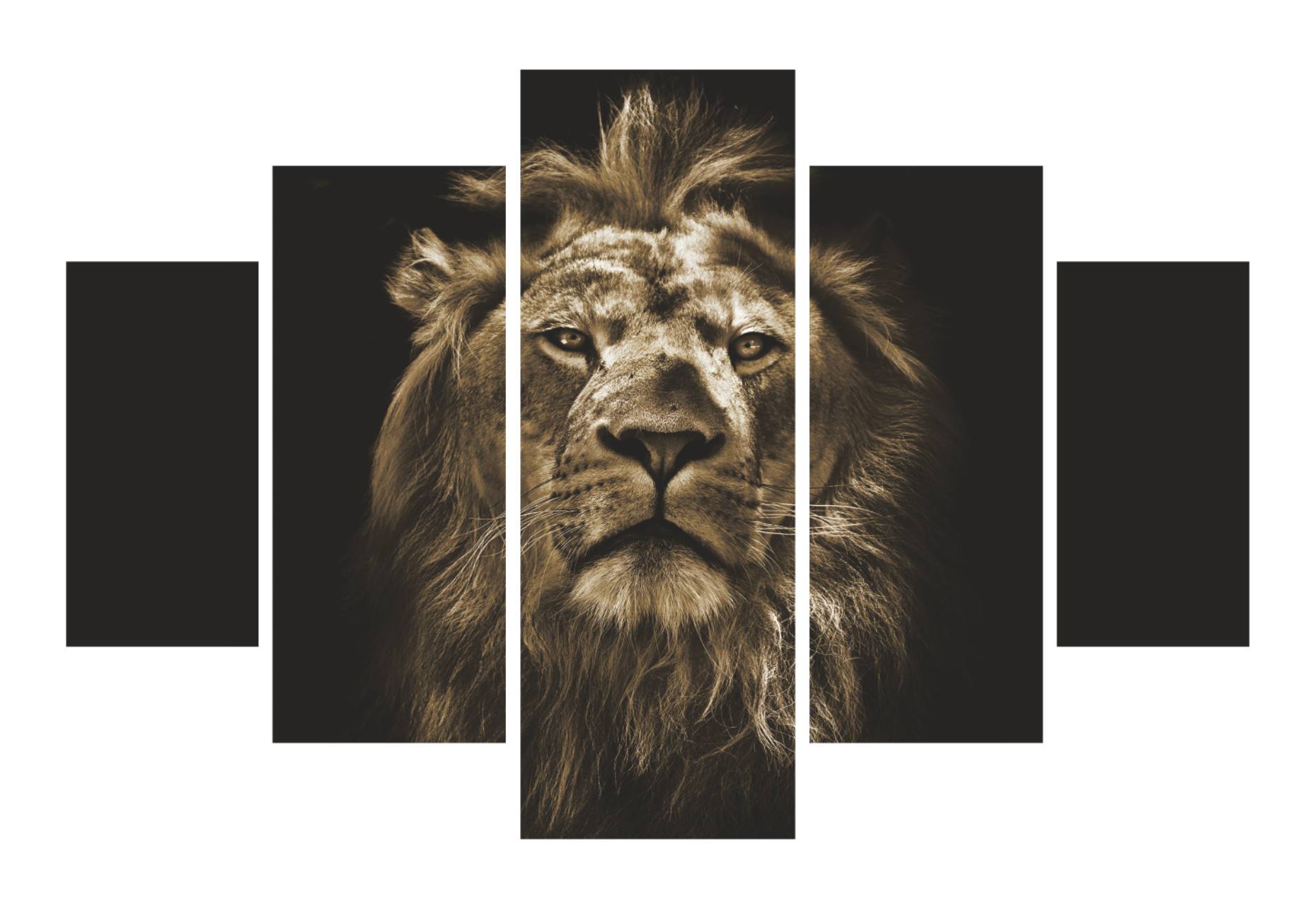 Tableau pentaptyque Atos Motif Portrait de lion