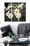 Triptychon Fabulosus B70xH50cm Blumenmuster Gänseblümchen Grau, Weiß und Gelb