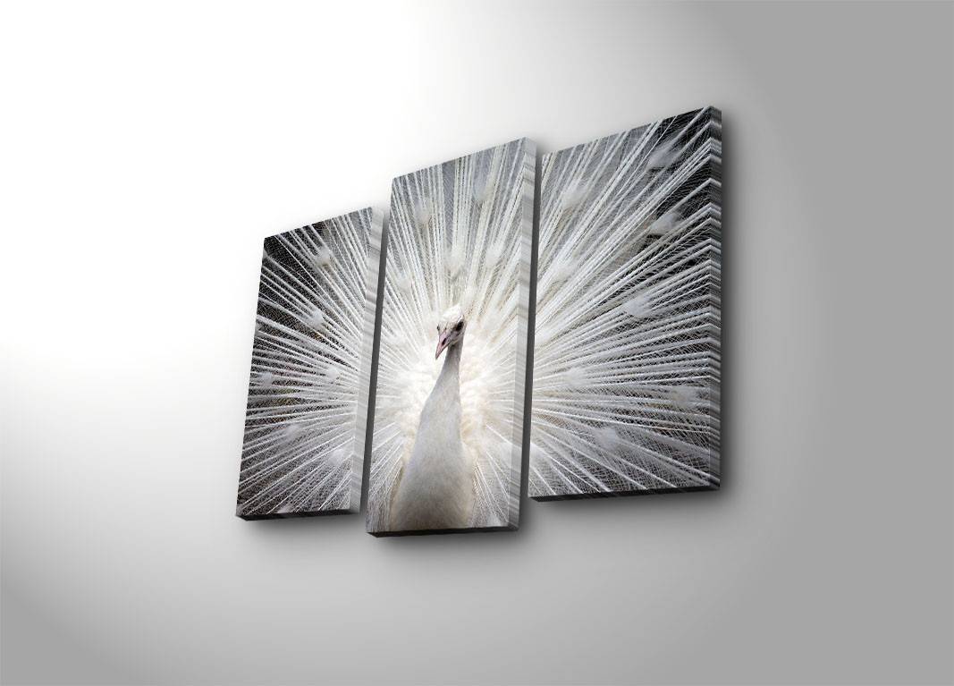LED verlicht drieluik pauwenwiel wit Lucendi Suede canvas Hout Multicolour